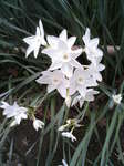 2007.01.12鎌倉(携帯) 008.jpg